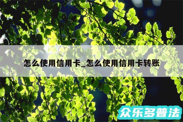 怎么使用信用卡_怎么使用信用卡转账