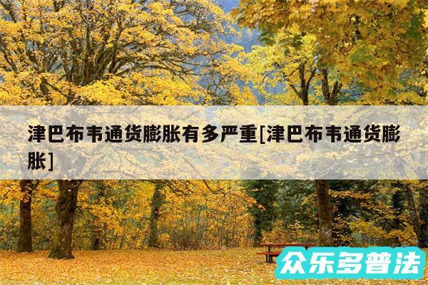 津巴布韦通货膨胀有多严重及津巴布韦通货膨胀