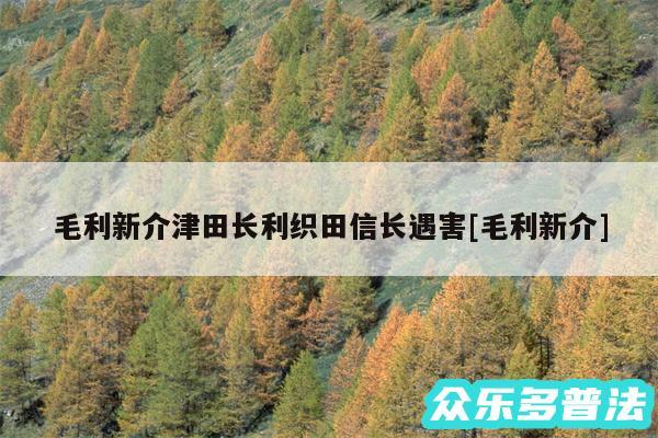 毛利新介津田长利织田信长遇害及毛利新介