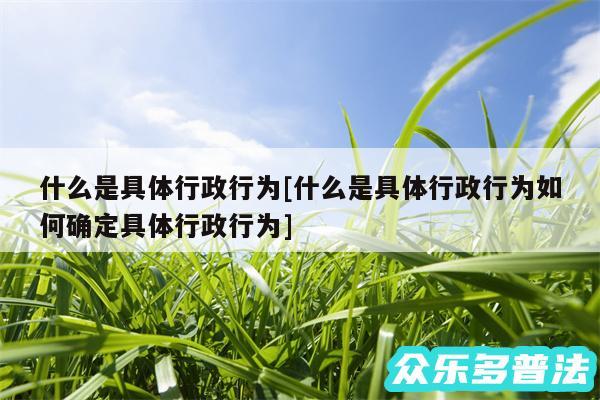 什么是具体行政行为及什么是具体行政行为如何确定具体行政行为