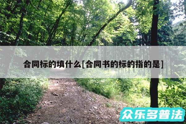 合同标的填什么及合同书的标的指的是