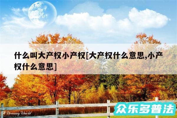什么叫大产权小产权及大产权什么意思,小产权什么意思