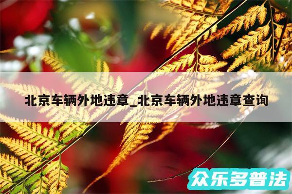 北京车辆外地违章_北京车辆外地违章查询