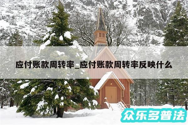 应付账款周转率_应付账款周转率反映什么