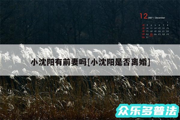 小沈阳有前妻吗及小沈阳是否离婚
