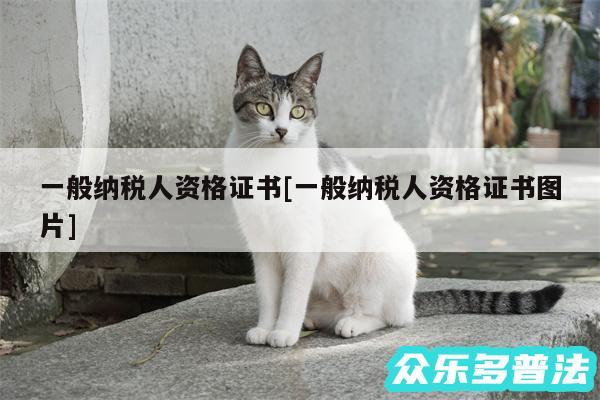 一般纳税人资格证书及一般纳税人资格证书图片