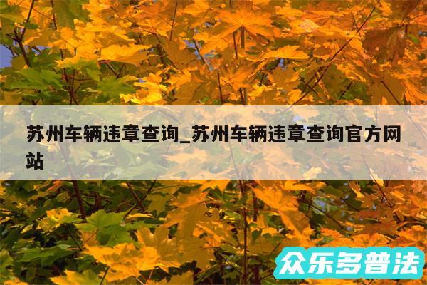 苏州车辆违章查询_苏州车辆违章查询官方网站