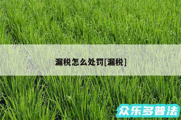 漏税怎么处罚及漏税
