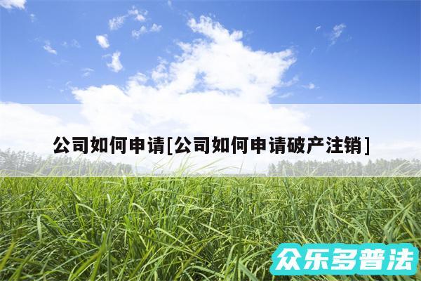 公司如何申请及公司如何申请破产注销