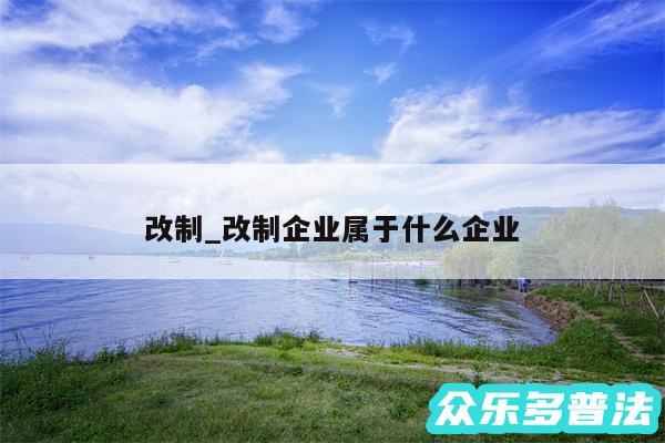 改制_改制企业属于什么企业