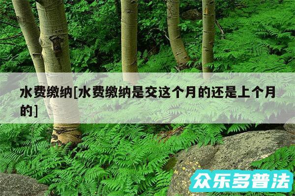 水费缴纳及水费缴纳是交这个月的还是上个月的